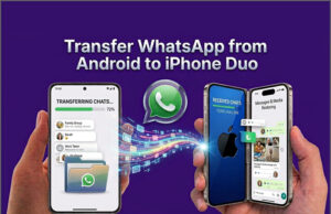 Software: Transfer WhatsApp from Android to New iPhone Duo: Tenorshare Offers a Simpler Solution