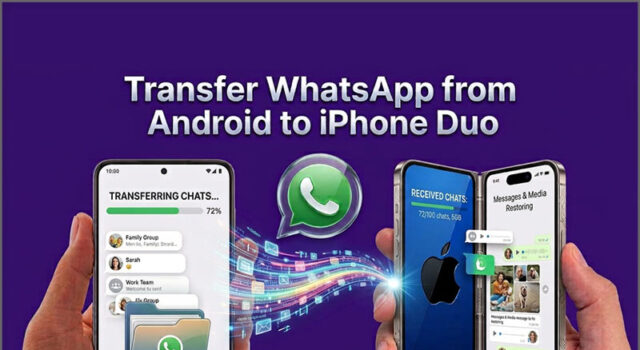 Software: Transfer WhatsApp from Android to New iPhone Duo: Tenorshare Offers a Simpler Solution